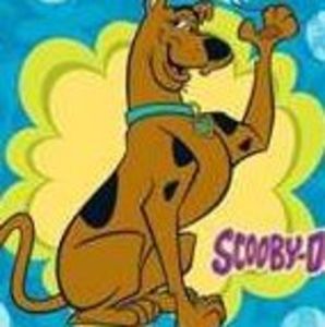 Meet your Posher, Ray